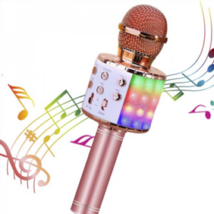 Professional Portable BT Wireless Karaoke Microphone Speaker For Home KTV Handheld Microphone For Computer Laptop